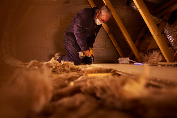 Best Insulation Removal  in Mammoth Lakes, CA